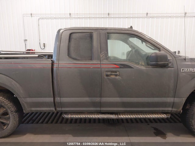 1FTEX1EP1LFB11204 Ford F-150 Xl