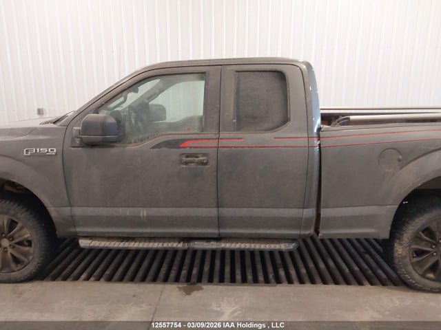 1FTEX1EP1LFB11204 Ford F-150 Xl