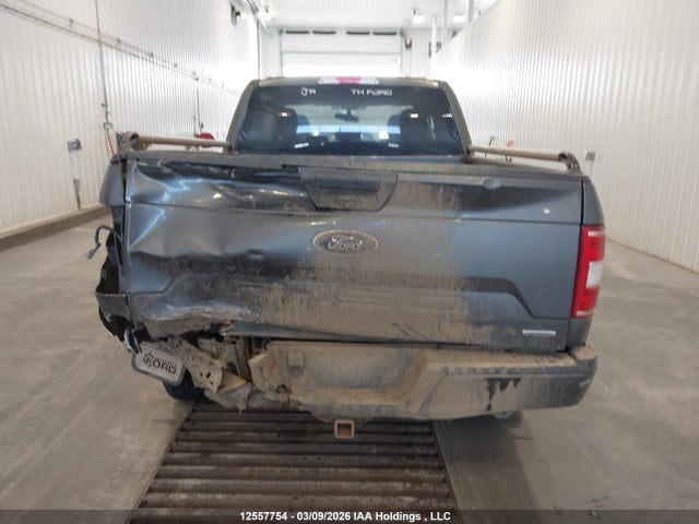 1FTEX1EP1LFB11204 Ford F-150 Xl