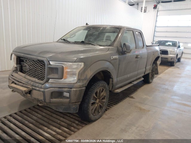 1FTEX1EP1LFB11204 Ford F-150 Xl