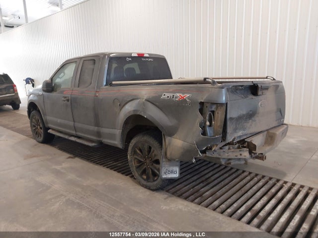 1FTEX1EP1LFB11204 Ford F-150 Xl