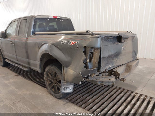 1FTEX1EP1LFB11204 Ford F-150 Xl