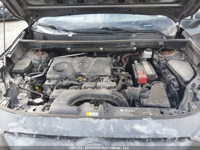 Продаж на аукціоні авто 2019 Toyota Rav4 Le, vin: 2T3B1RFV9KC018204, номер лоту: 12557773