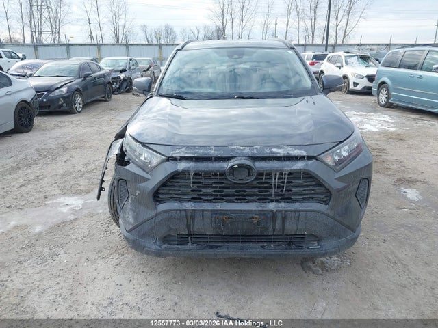 Продаж на аукціоні авто 2019 Toyota Rav4 Le, vin: 2T3B1RFV9KC018204, номер лоту: 12557773