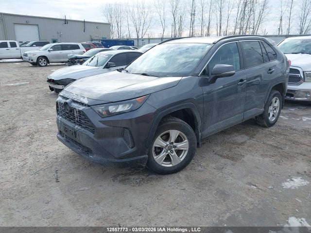 Продаж на аукціоні авто 2019 Toyota Rav4 Le, vin: 2T3B1RFV9KC018204, номер лоту: 12557773
