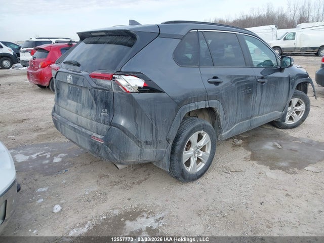 Продаж на аукціоні авто 2019 Toyota Rav4 Le, vin: 2T3B1RFV9KC018204, номер лоту: 12557773