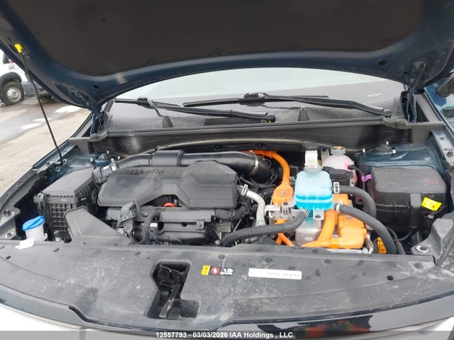 Продажа на аукционе авто 2025 Kia Sportage Phev Ex Premium, vin: KNDPVDDH0S7278866, номер лота: 12557793