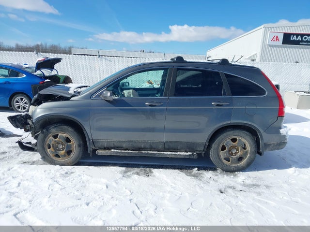 Продаж на аукціоні авто 2011 Honda Cr-v Exl, vin: 5J6RE4H78BL815530, номер лоту: 12557794