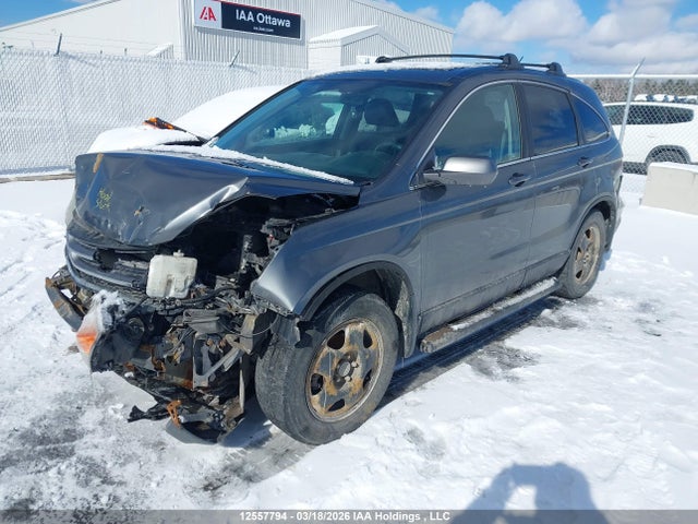 Продаж на аукціоні авто 2011 Honda Cr-v Exl, vin: 5J6RE4H78BL815530, номер лоту: 12557794