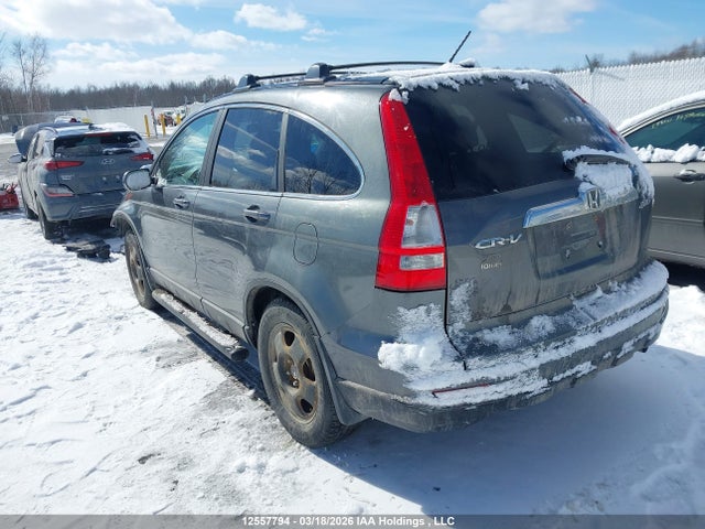 Продаж на аукціоні авто 2011 Honda Cr-v Exl, vin: 5J6RE4H78BL815530, номер лоту: 12557794