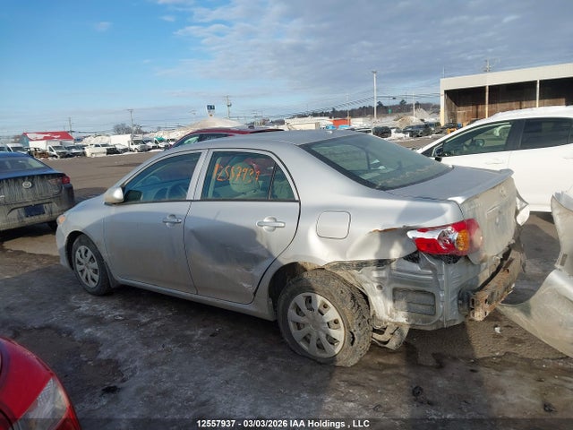12557937 :رقم المزاد ، 2T1BU4EE8AC221006 vin ، 2010 Toyota Corolla Ce مزاد بيع