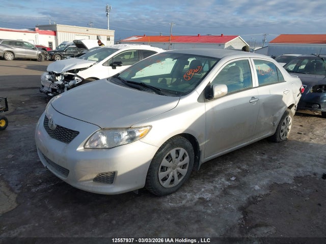 12557937 :رقم المزاد ، 2T1BU4EE8AC221006 vin ، 2010 Toyota Corolla Ce مزاد بيع