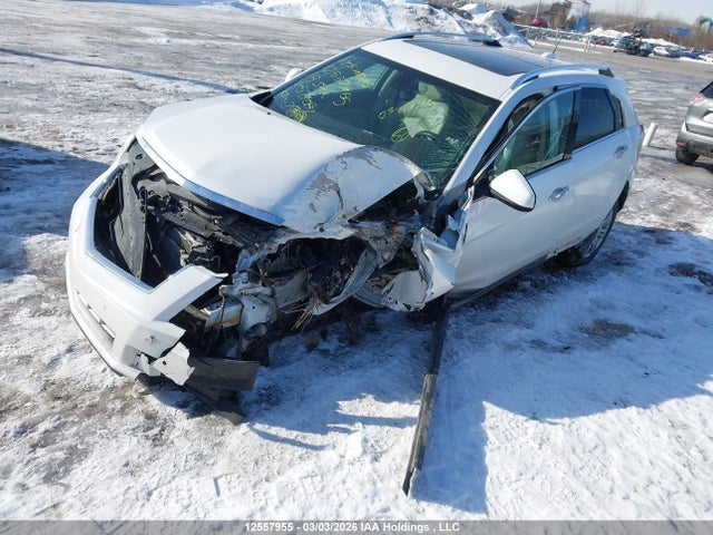 Продажа на аукционе авто 2015 Cadillac Srx Luxury, vin: 3GYFNEE34FS579081, номер лота: 12557955