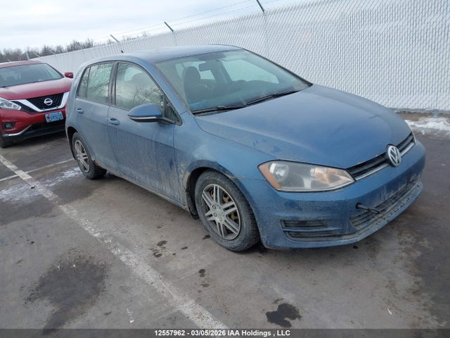 3VW217AU5FM032493 auction archive image