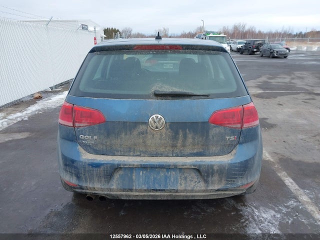 3VW217AU5FM032493 Volkswagen Golf