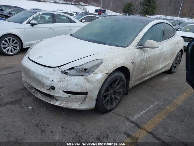 Aukcja sprzedaży 2019 Tesla Model 3 Long Range/performance, vin: 5YJ3E1EB1KF442353, numer aukcji: 12557983