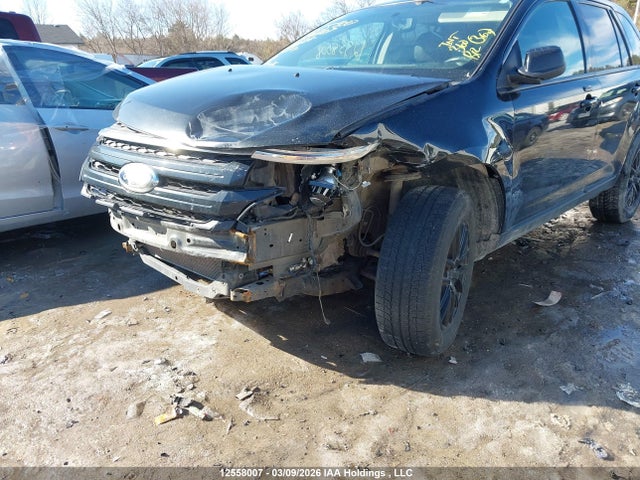 12558007 :رقم المزاد ، 2FMDK4JC6EBA59907 vin ، 2014 Ford Edge Sel مزاد بيع