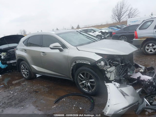 Продажа на аукционе авто 2019 Lexus Nx 300, vin: JTJBARBZ3K2201014, номер лота: 12558055
