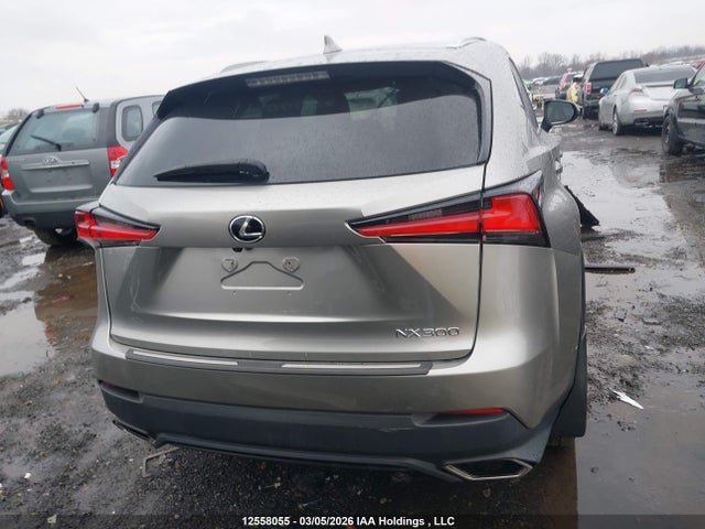 Продажа на аукционе авто 2019 Lexus Nx 300, vin: JTJBARBZ3K2201014, номер лота: 12558055