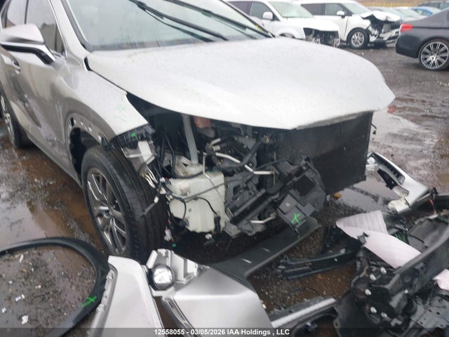 Продажа на аукционе авто 2019 Lexus Nx 300, vin: JTJBARBZ3K2201014, номер лота: 12558055