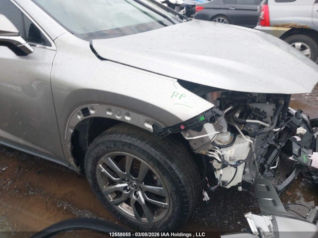Продажа на аукционе авто 2019 Lexus Nx 300, vin: JTJBARBZ3K2201014, номер лота: 12558055