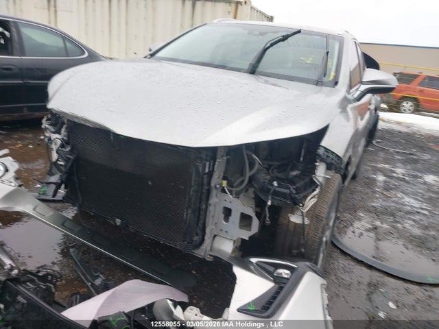 Продажа на аукционе авто 2019 Lexus Nx 300, vin: JTJBARBZ3K2201014, номер лота: 12558055