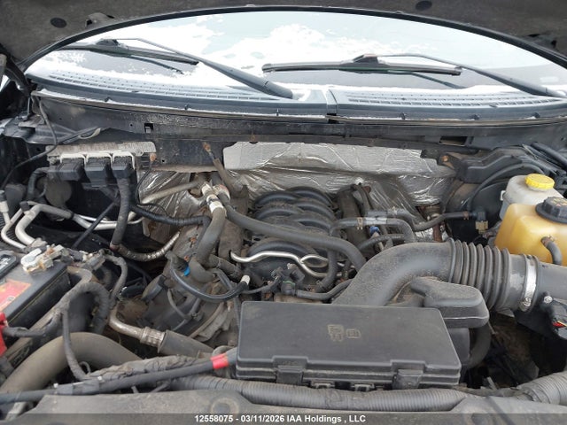 2014 Ford F-150 Fx4 მანქანა იყიდება აუქციონზე, vin: 1FTFX1EF8EFA20932, აუქციონის ნომერი: 12558075