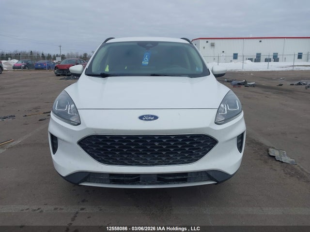 12558086 :رقم المزاد ، 1FMCU9G64LUA42132 vin ، 2020 Ford Escape Se مزاد بيع