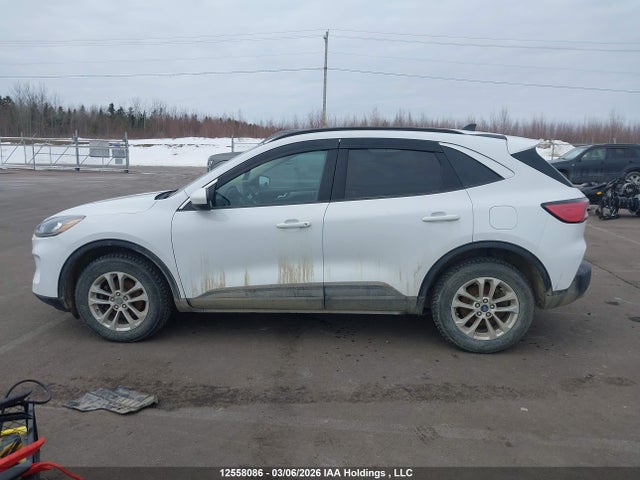 12558086 :رقم المزاد ، 1FMCU9G64LUA42132 vin ، 2020 Ford Escape Se مزاد بيع
