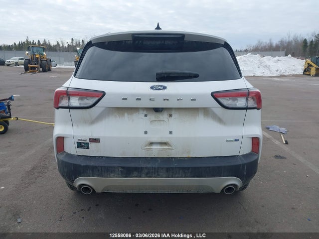 12558086 :رقم المزاد ، 1FMCU9G64LUA42132 vin ، 2020 Ford Escape Se مزاد بيع