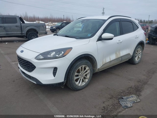 12558086 :رقم المزاد ، 1FMCU9G64LUA42132 vin ، 2020 Ford Escape Se مزاد بيع