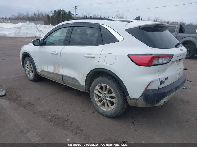 12558086 :رقم المزاد ، 1FMCU9G64LUA42132 vin ، 2020 Ford Escape Se مزاد بيع