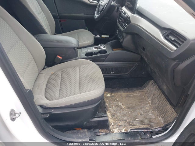 12558086 :رقم المزاد ، 1FMCU9G64LUA42132 vin ، 2020 Ford Escape Se مزاد بيع