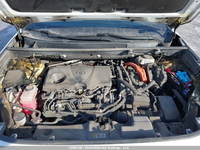 12558149 :رقم المزاد ، 2T3RWRFV3KW003003 vin ، 2019 Toyota Rav4 مزاد بيع