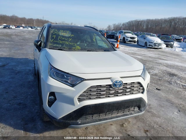 12558149 :رقم المزاد ، 2T3RWRFV3KW003003 vin ، 2019 Toyota Rav4 مزاد بيع