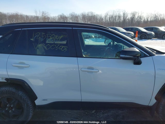 12558149 :رقم المزاد ، 2T3RWRFV3KW003003 vin ، 2019 Toyota Rav4 مزاد بيع