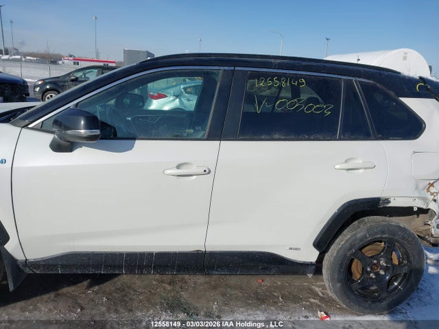 12558149 :رقم المزاد ، 2T3RWRFV3KW003003 vin ، 2019 Toyota Rav4 مزاد بيع