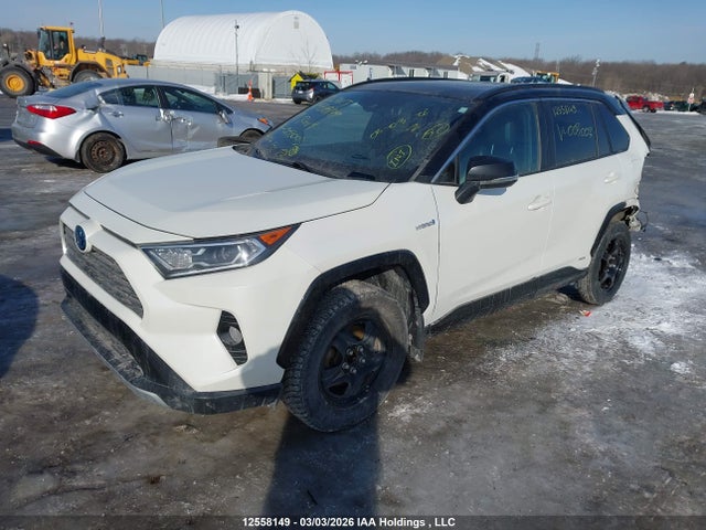 12558149 :رقم المزاد ، 2T3RWRFV3KW003003 vin ، 2019 Toyota Rav4 مزاد بيع