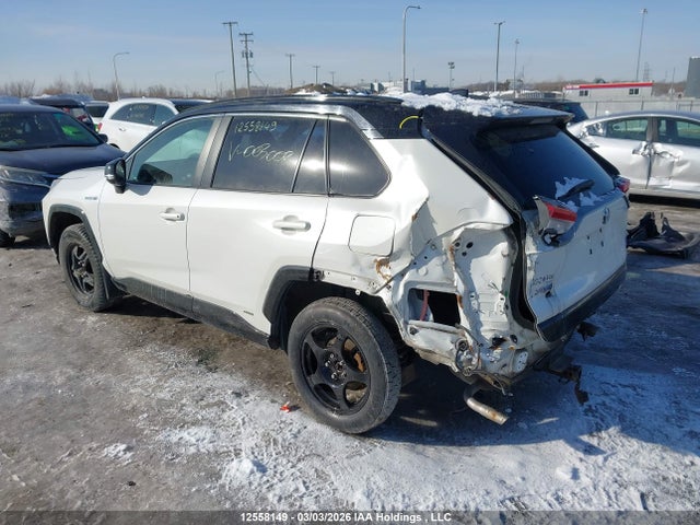 12558149 :رقم المزاد ، 2T3RWRFV3KW003003 vin ، 2019 Toyota Rav4 مزاد بيع