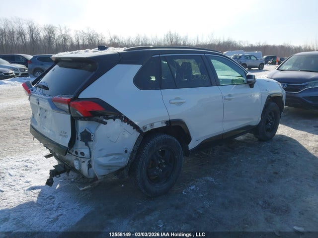 12558149 :رقم المزاد ، 2T3RWRFV3KW003003 vin ، 2019 Toyota Rav4 مزاد بيع