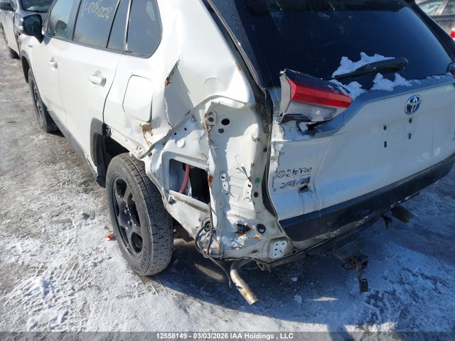 12558149 :رقم المزاد ، 2T3RWRFV3KW003003 vin ، 2019 Toyota Rav4 مزاد بيع