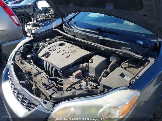 12558175 :رقم المزاد ، 2T1KU40E89C071675 vin ، 2009 Toyota Matrix Wagon مزاد بيع