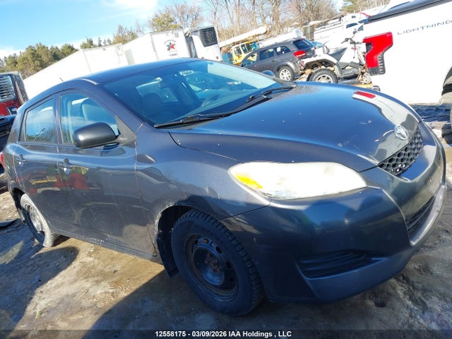 12558175 :رقم المزاد ، 2T1KU40E89C071675 vin ، 2009 Toyota Matrix Wagon مزاد بيع