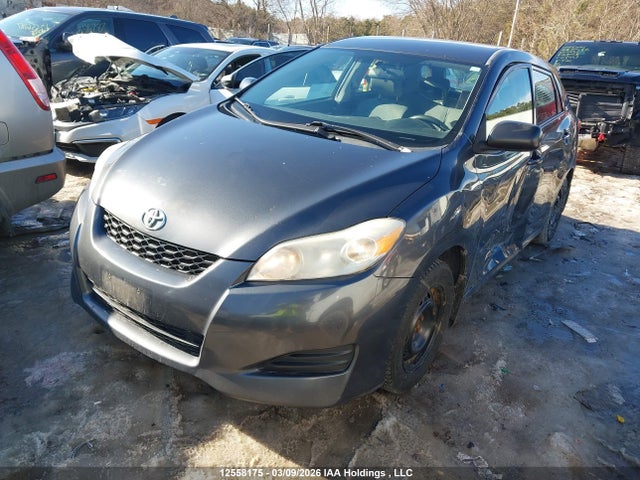 12558175 :رقم المزاد ، 2T1KU40E89C071675 vin ، 2009 Toyota Matrix Wagon مزاد بيع