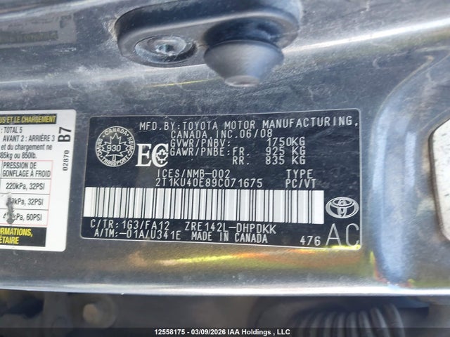 12558175 :رقم المزاد ، 2T1KU40E89C071675 vin ، 2009 Toyota Matrix Wagon مزاد بيع