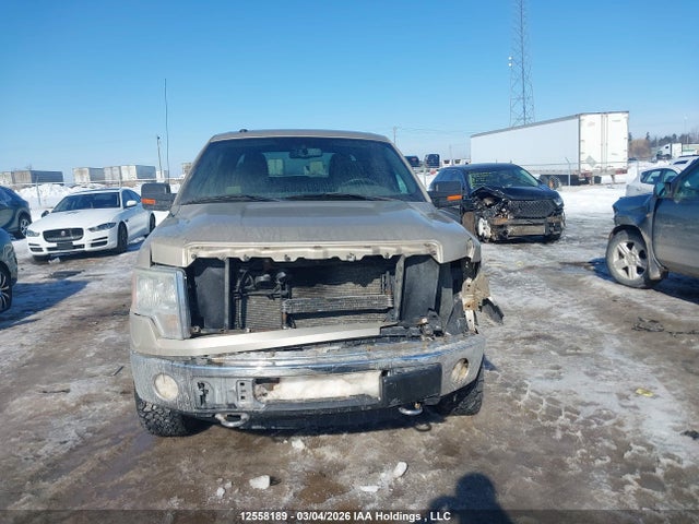 2010 Ford F-150 მანქანა იყიდება აუქციონზე, vin: 1FTFW1EV1AFB41760, აუქციონის ნომერი: 12558189