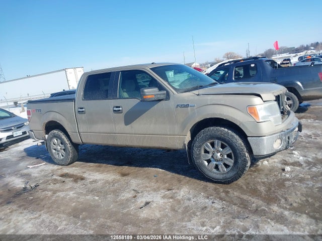 2010 Ford F-150 მანქანა იყიდება აუქციონზე, vin: 1FTFW1EV1AFB41760, აუქციონის ნომერი: 12558189