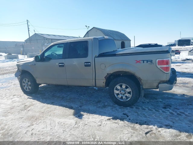 2010 Ford F-150 მანქანა იყიდება აუქციონზე, vin: 1FTFW1EV1AFB41760, აუქციონის ნომერი: 12558189