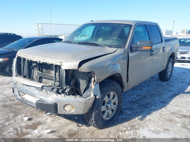 2010 Ford F-150 მანქანა იყიდება აუქციონზე, vin: 1FTFW1EV1AFB41760, აუქციონის ნომერი: 12558189