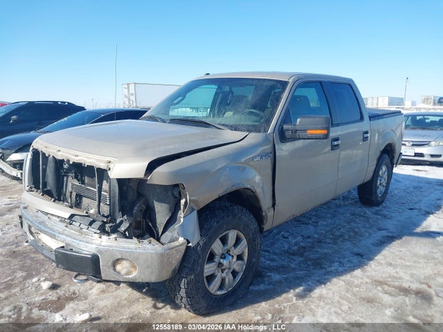 2010 Ford F-150 მანქანა იყიდება აუქციონზე, vin: 1FTFW1EV1AFB41760, აუქციონის ნომერი: 12558189